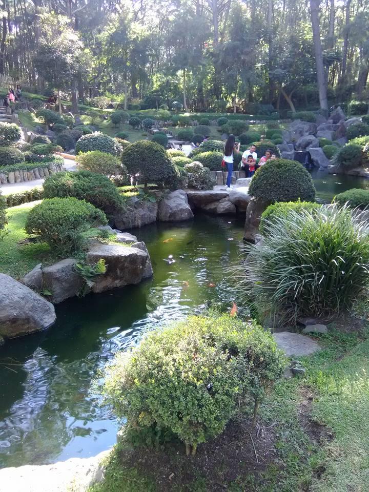 Bosque Los Colomos vista 3