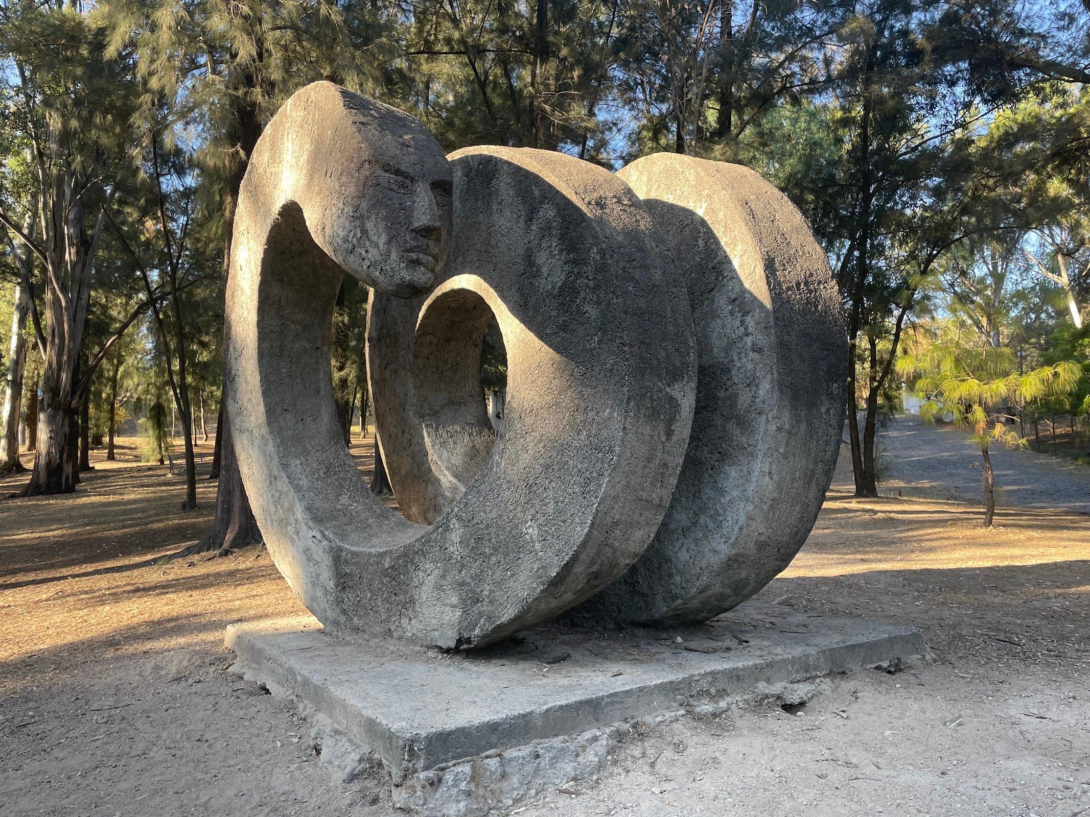 Bosque Los Colomos vista 8