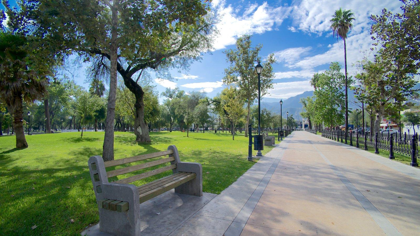 Alameda Monterrey vista 2