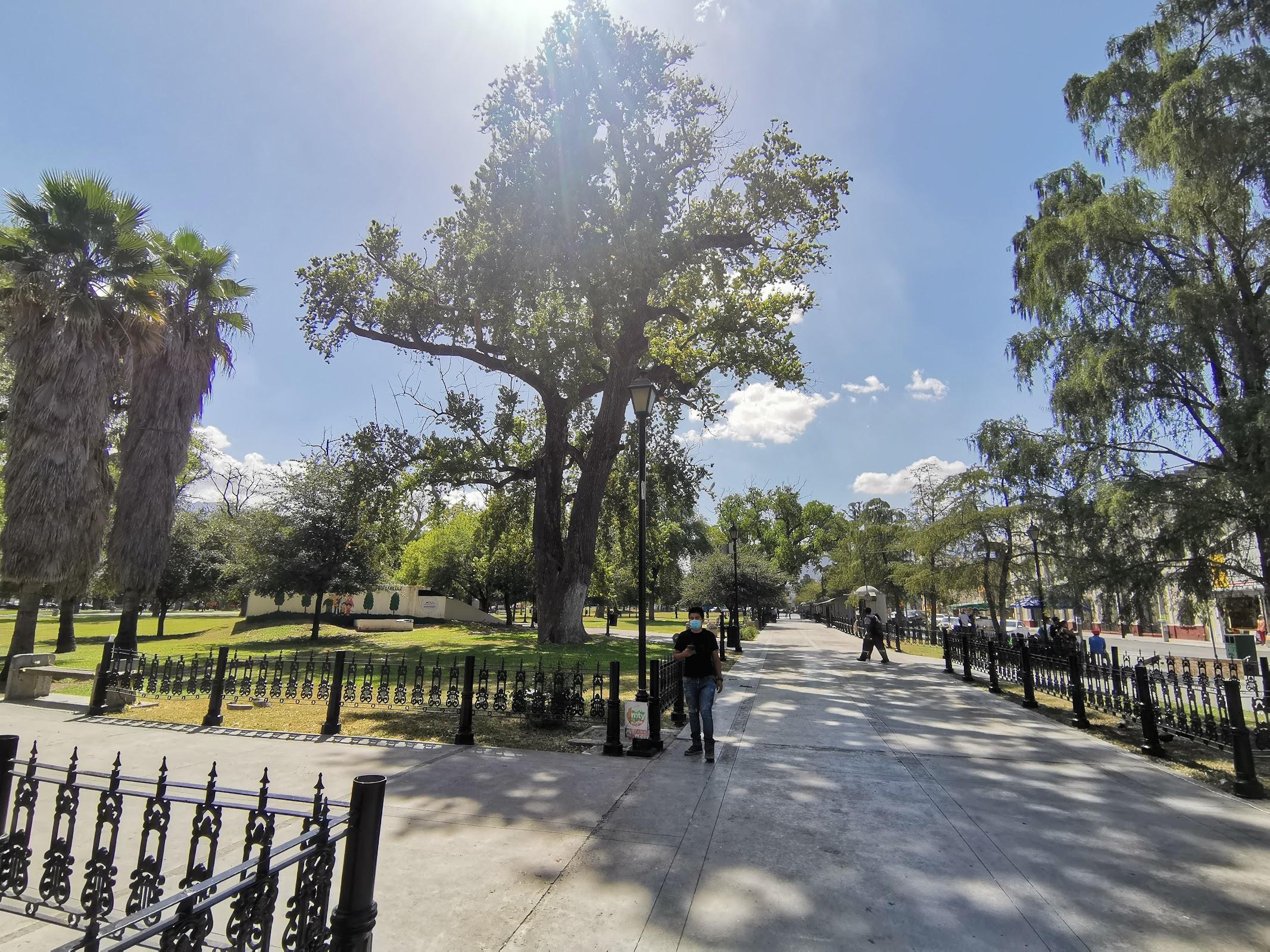 Alameda Monterrey vista 5