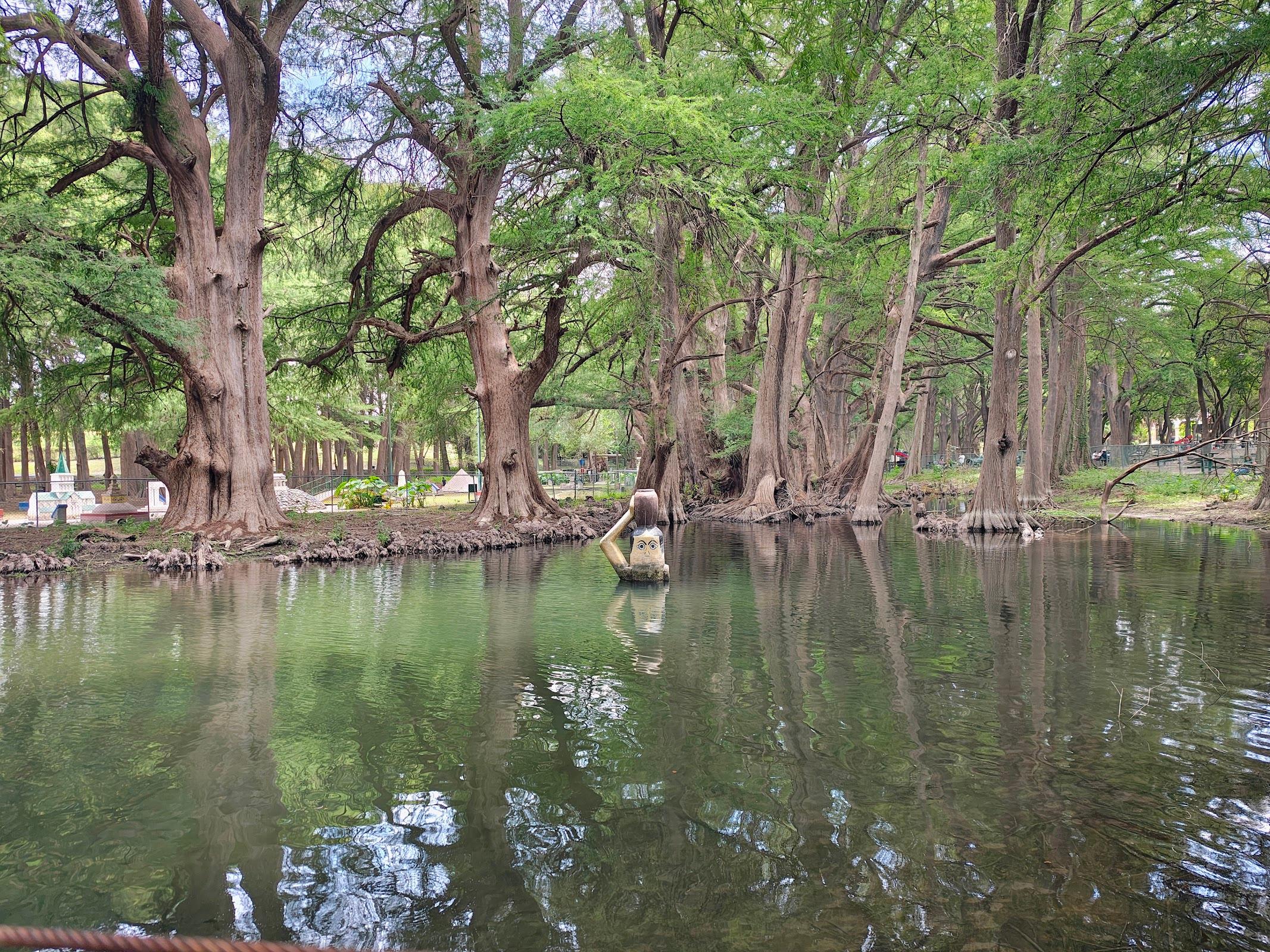 Parque Nacional El Sabinal en Cerralvo