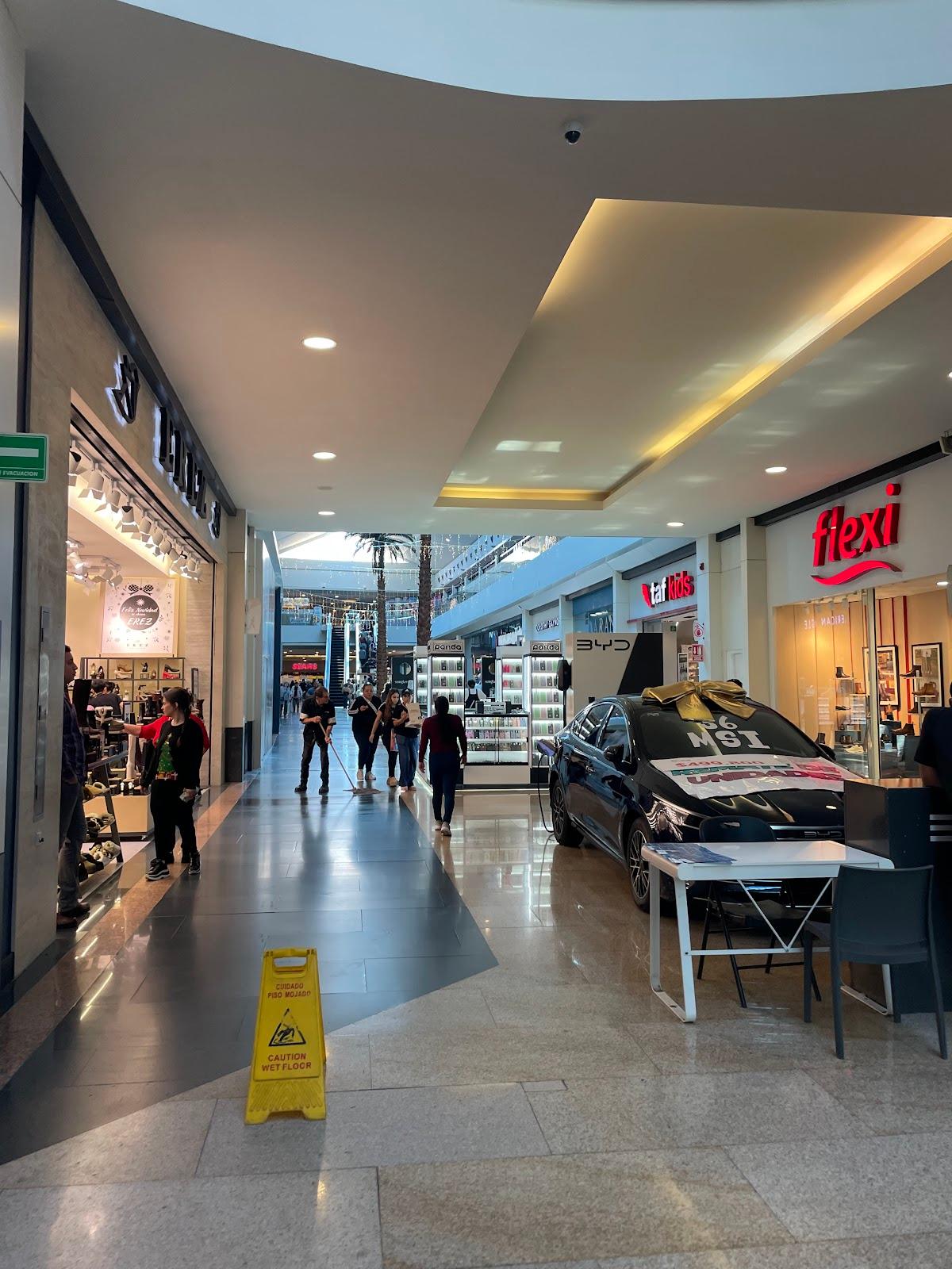 Plaza Fiesta Anáhuac vista 2